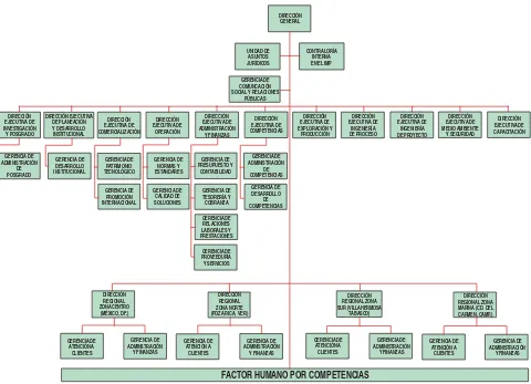 Figura 1.3  Estructura Organizacional del Instituto Mexicano del Petróleo  