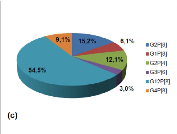Figura  5.  Frecuencias  de  los  genotipos  G  y  P  identificados  en  el  estudio. 