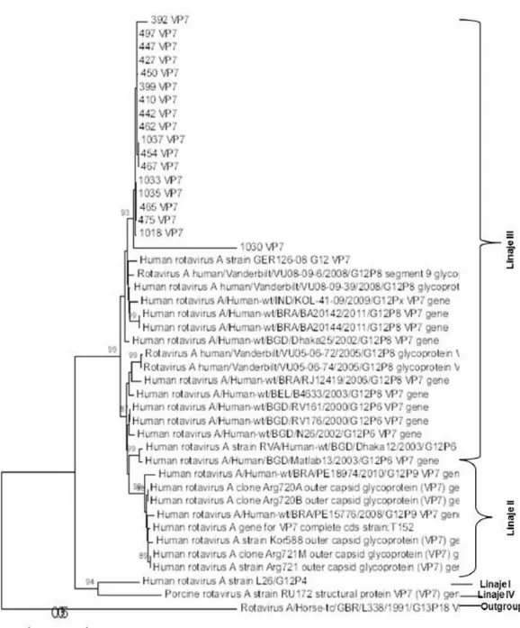 Figura  6.  Análisis  filogenético  de  las  18  secuencias  G12  obtenidas  en  el  estudio