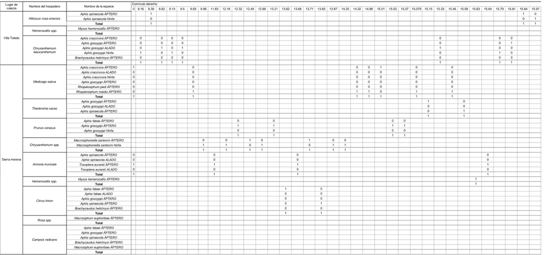 Tabla 9.2. Tabla de contingencia del cornículo derecho del áfido