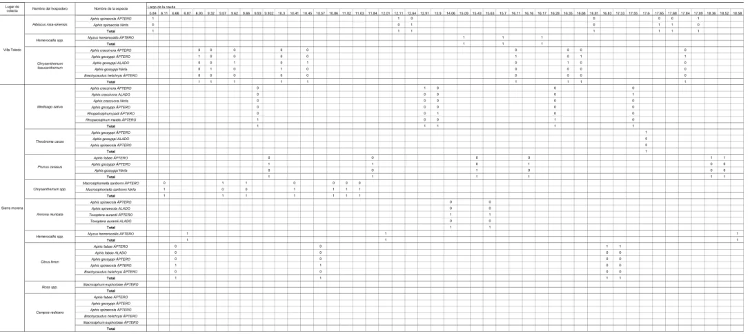 Tabla 10.2. Tabla de contingencia del largo de la cauda del áfido