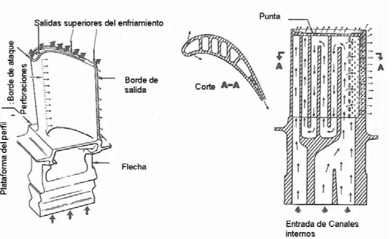 Fig. 1.5:  Geometría interna y externa de un álabe con enfriamiento de película 