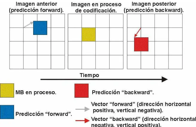 Figura 1.4. Proceso de estimación de movimiento de un MB. 