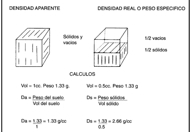 Figura 1.13 Densidad aparente y real del suelo. 