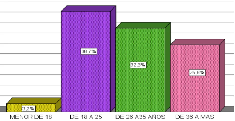 GRÁFICO N° 1 