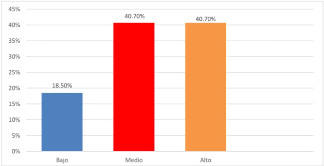 GRÁFICO Nº 30 
