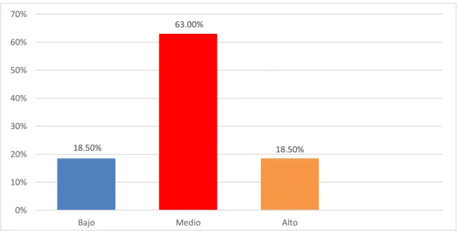 GRÁFICO Nº 31 