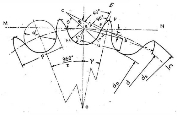 Fig. 1.10 Vista frontal de los dientes de la rueda 