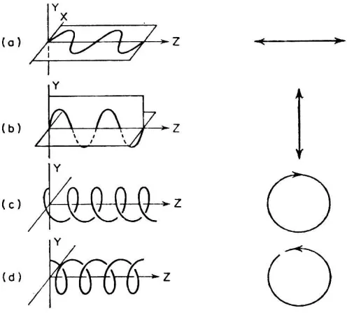 Fig. 2.2 Ejemplos de luz polarizada 