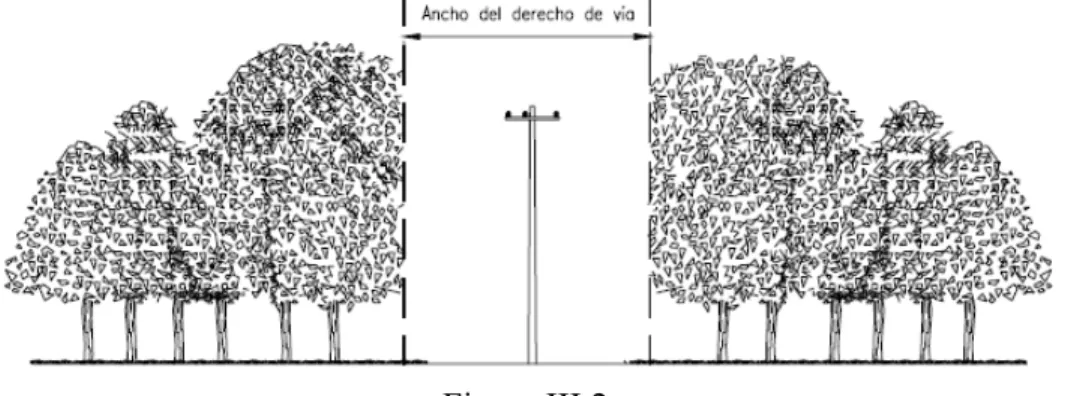 Figura III.2 