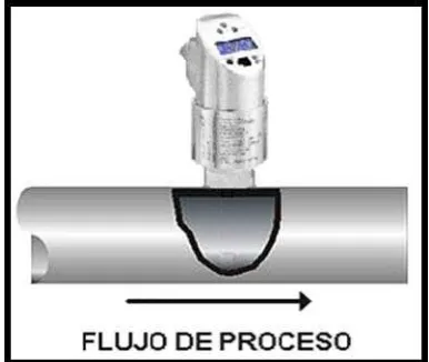 Figura 3.9. Transmisor de flujo Deltabar. 