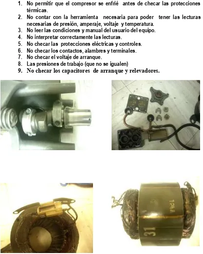 Figura 10. Fallas  En Los Pistones,  Embobinado Eléctrico Y Plato De Válvulas