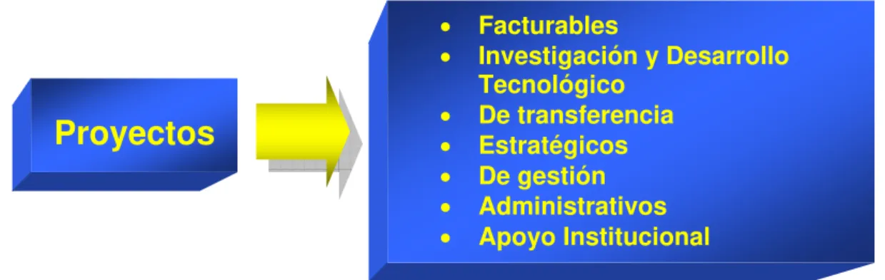 Figura 4 :  Proyect os desarrollados en el I MP. 