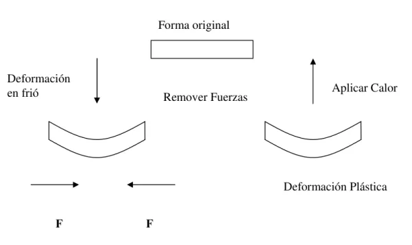 Figura II.1.- Efecto de memoria de forma de un “sentido”