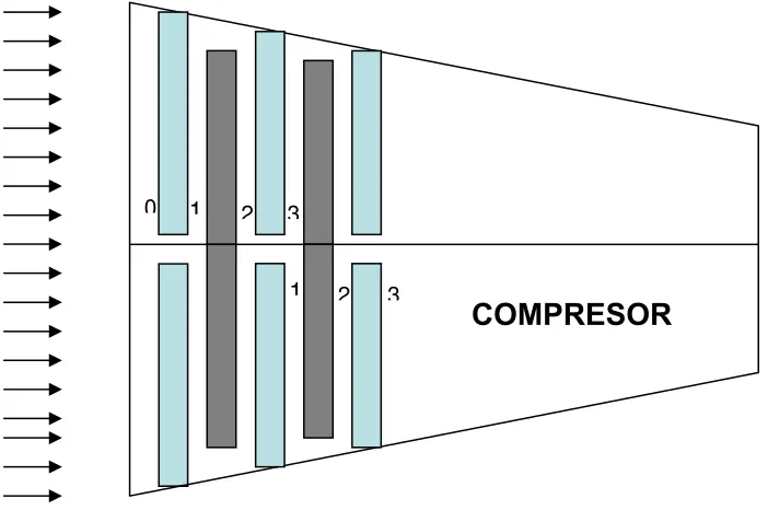 Fig. 2.2  Teoría del Paso Repetitivo. 