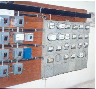 Figura  3.1 (b)- Servicio en Baja Tensión                  