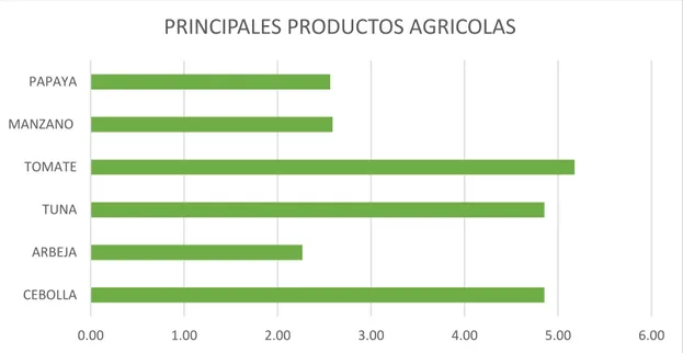 Gráfico 12: Principales productos agrícolas