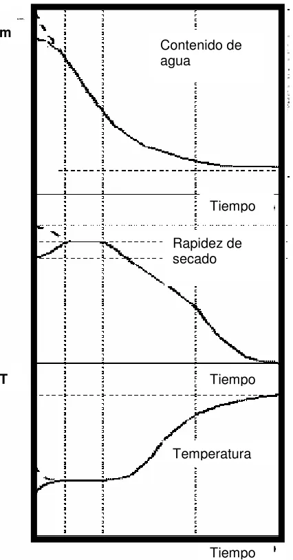 Figura 1.3.1 