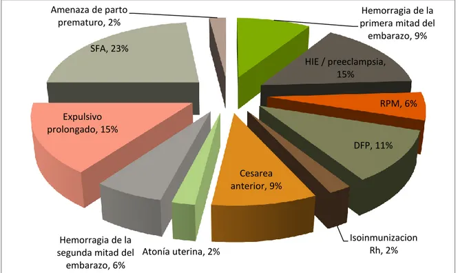 GRÁFICO N° 4 