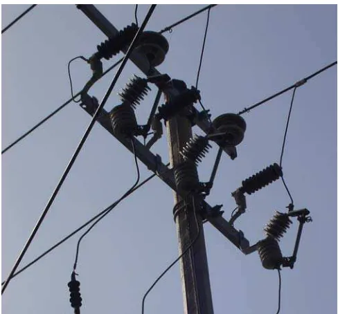 Figura 1.6 Apartarrayos instalados en acometida de 23 kV para un servicio. 