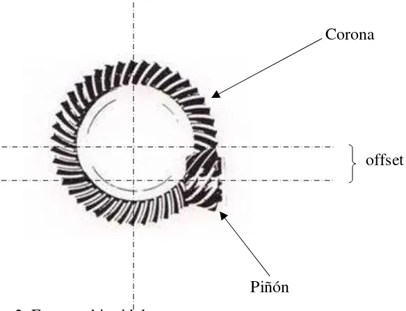 Figura 2  Engrane hipoidal 