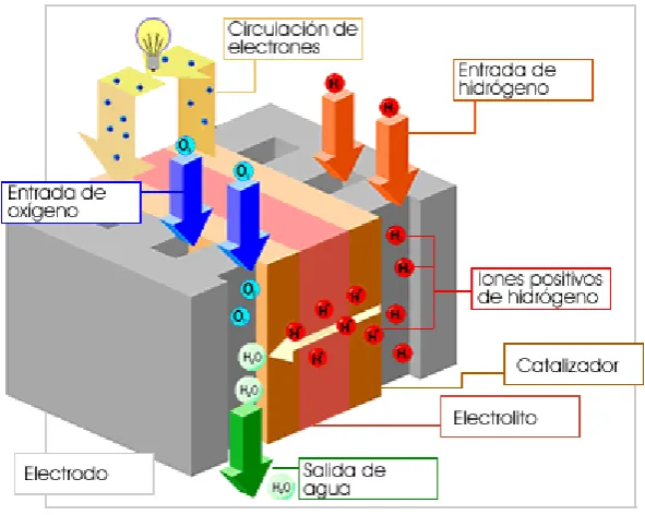 Figura 2.1. Sistema  básico de una Celda de Combustible [7].