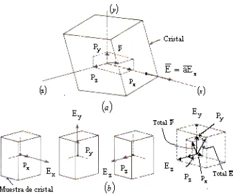 Figura 1. Aspectos de la anisotropía en un cristal. (a) componenstes de polarización que resultan 