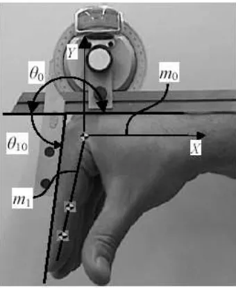 Fig. 3.3 Medición del ángulo máximo de flexión de cada falange.