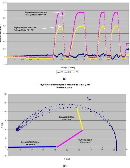Fig. 3.18 Flexión y Extensión de la falange media y distal. a) Posición angular, b) Trayectoria descrita por las falanges.