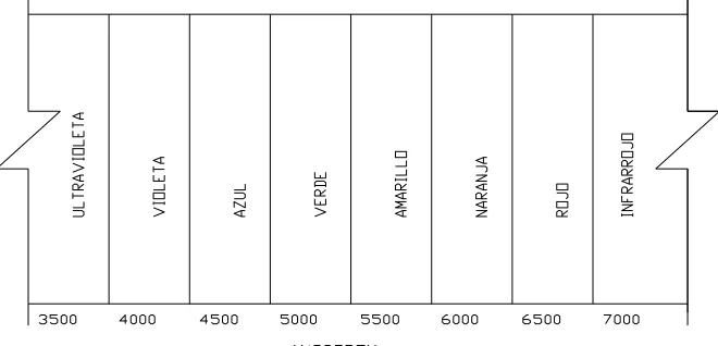 Fig. 3.1  Espectro visible representado en función de su longitud de onda