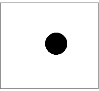 Figura 3.16: Imagen que muestra la m´ascara utilizada para extraer la circunferenciainterior (iris/pupila) de la imagen de entrada original.