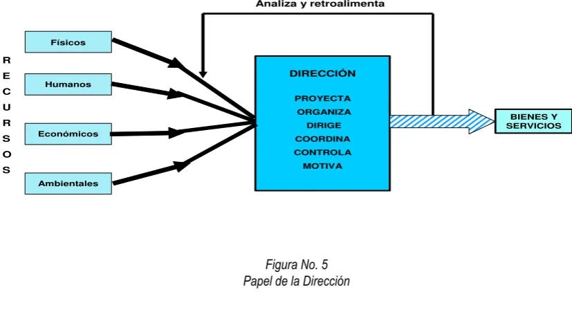 Figura No. 5 