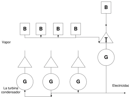 Fig. 1.9 Planta de Vapor Común   
