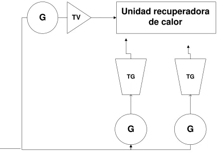 Fig. 1.12  Planta Ciclo Combinado 