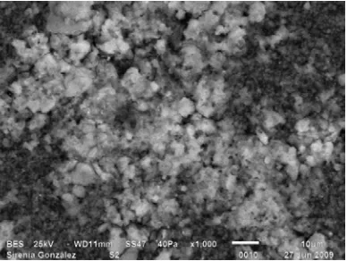 Figura  2.19a Fotografía del aislado con  nivel de contaminación 2  tomada por el microscopio de barrido con una escala dada a 5 micro metros 