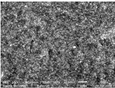 Figura  2.18a fotografía del aislador patrón tomada por el microscopio de barrido con una escala dada  a 5 micro metros