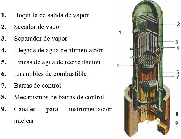 Figura No. 1.2   Reactor Nuclear de Agua Ligera en Ebullición (BWR). 