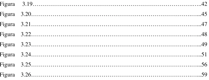 Figura     3.19……………………………………………………………………….…..42 