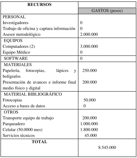 Tabla 11. Presupuesto 