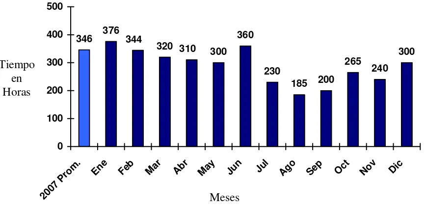 Fig. 8  Horas de mantenimiento preventivo empleadas por mes 