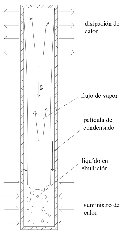 Fig. 2.1.-Tubo Termosifón Bifásico 