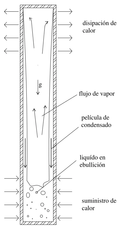 Fig. 2.1.-Tubo Termosifón Bifásico 