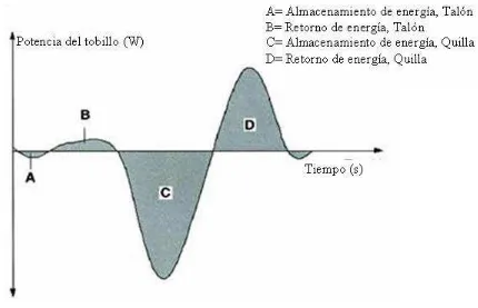 Figura 2.14.- Curva representativa potencia-tiempo del tobillo 