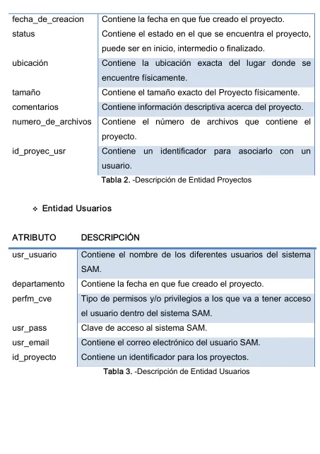 Tabla 2. ­Descripción de Entidad Proyectos 