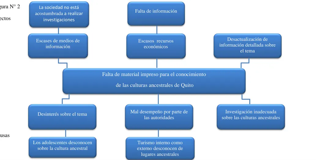 Figura N° 2  Efectos  