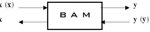 Figura 1.3 Esquema de la BAM como una caja negra 
