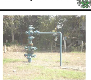 Figura 1.2 Vista del pozo Poza Rica 78 o “Árbol de Navidad”, pozo productos de agua. 