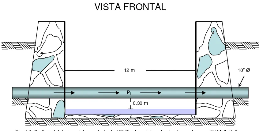 Fig. 1.6. Perfil real del cruce del acueducto de 12” Ø sobre el derecho de vía en el arroyo “El Mollejón”