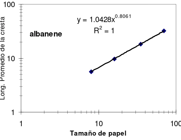 Figura 4.3 Longitud promedio de las crestas entre nodos por tamaño de papel 