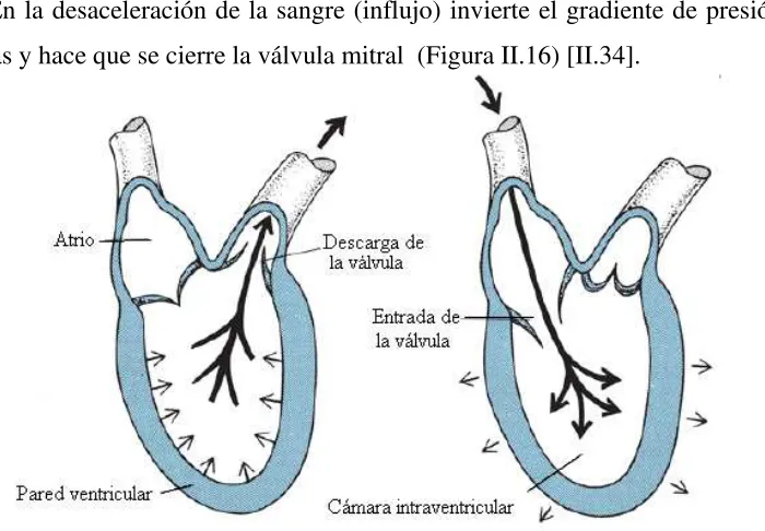Figura II.16.- Sístole y Diástole ventricular  